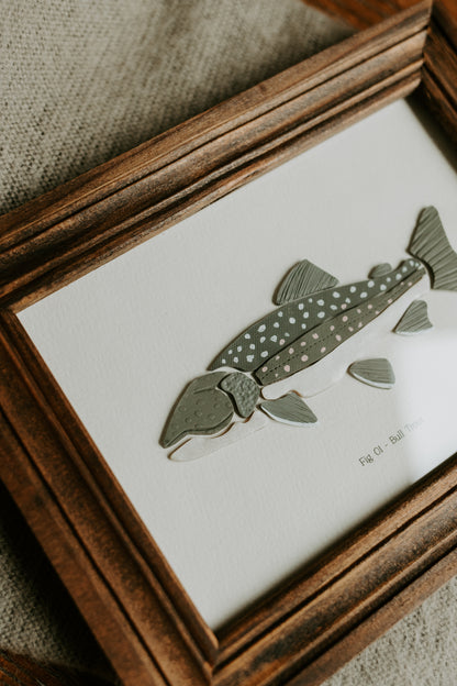 Bull Trout - Framed 5x7