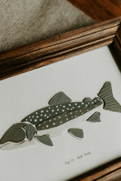 Bull Trout - Framed 5x7