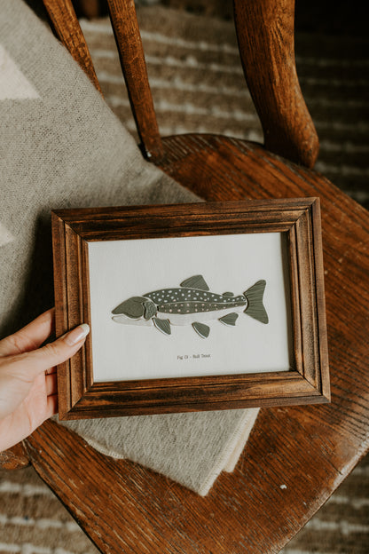 Bull Trout - Framed 5x7
