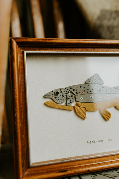 Brown Trout - Framed 5x7