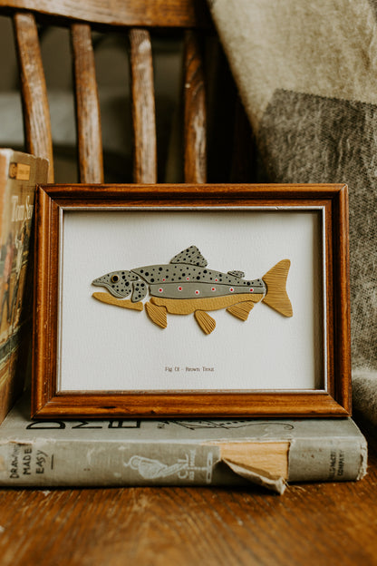 Brown Trout - Framed 5x7