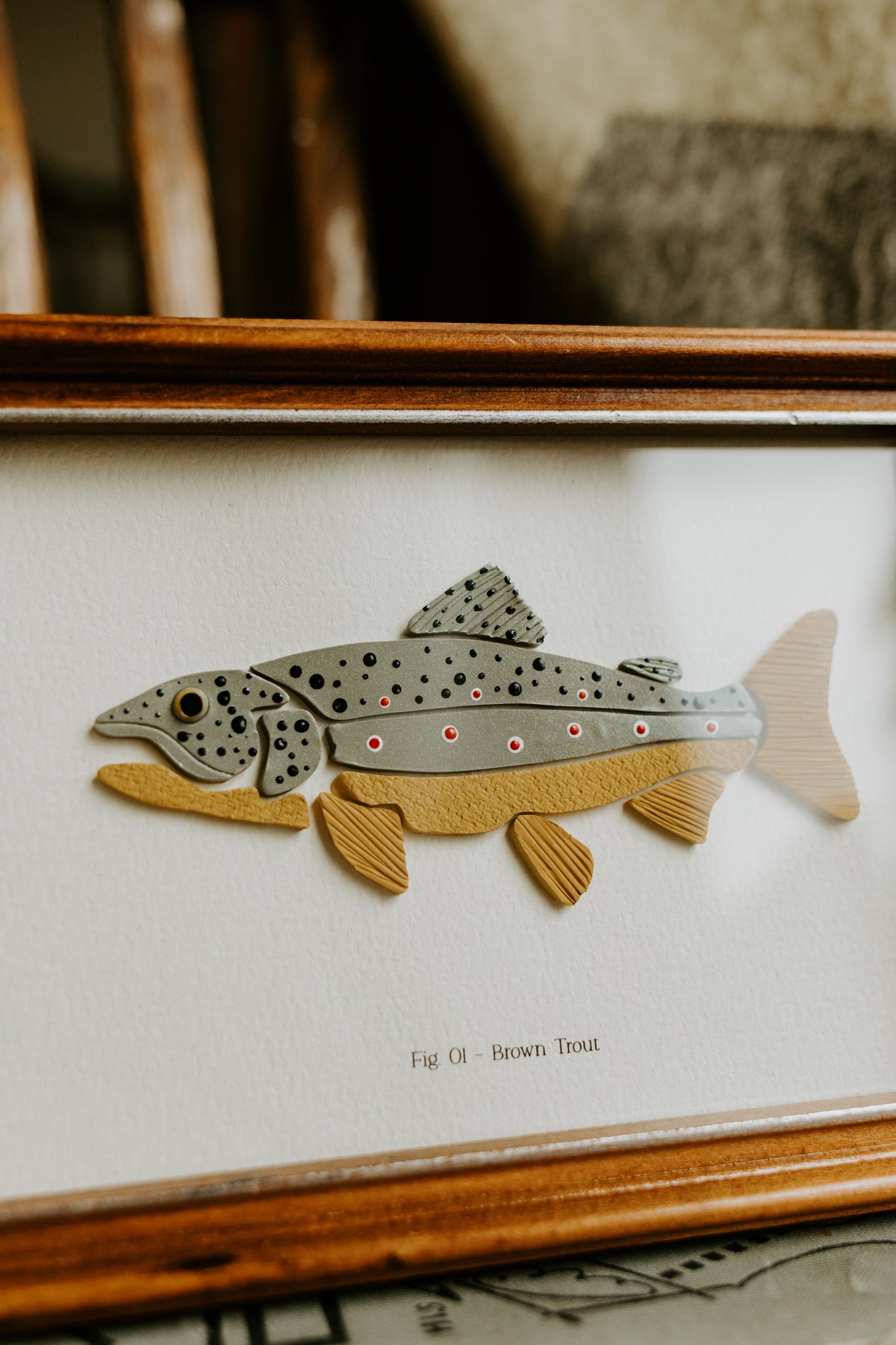 Brown Trout - Framed 5x7