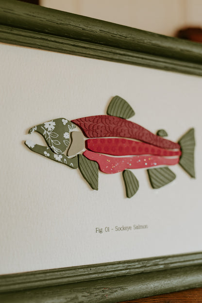 Sockeye Salmon - Framed 5x7
