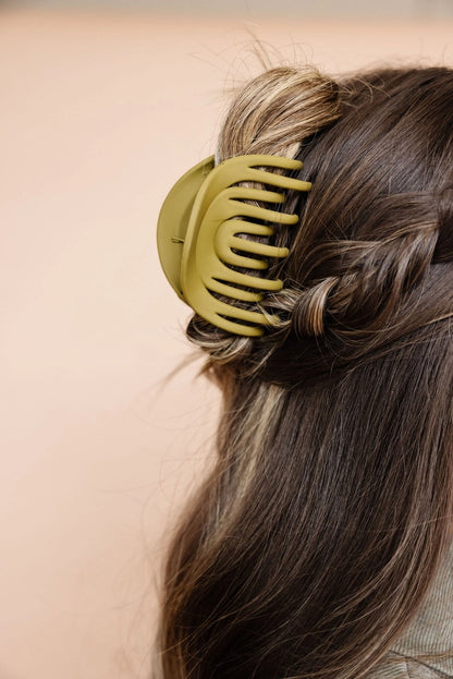 Rainbow Olive Claw Clip